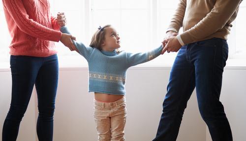 את המושג משמורת החליף המושג הורות משותפת ואילו הסדרי הראיה הפכו מזמן לזמני שהות